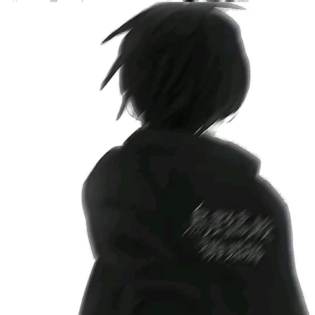 不知名的熊