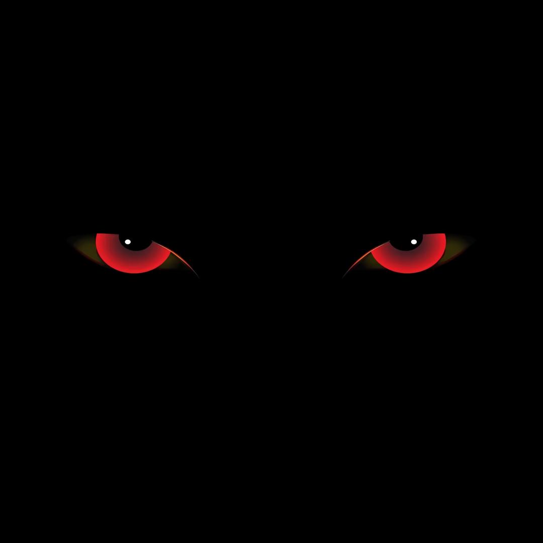 庄先生