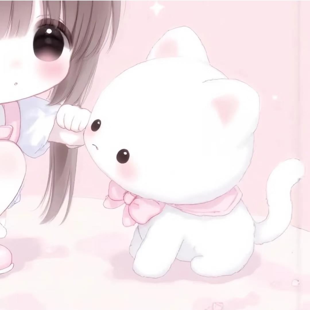 暴躁小tao