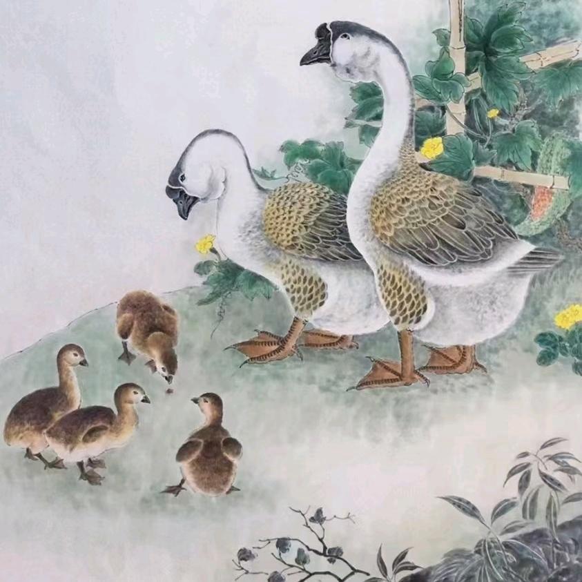 老张收鸭鹅