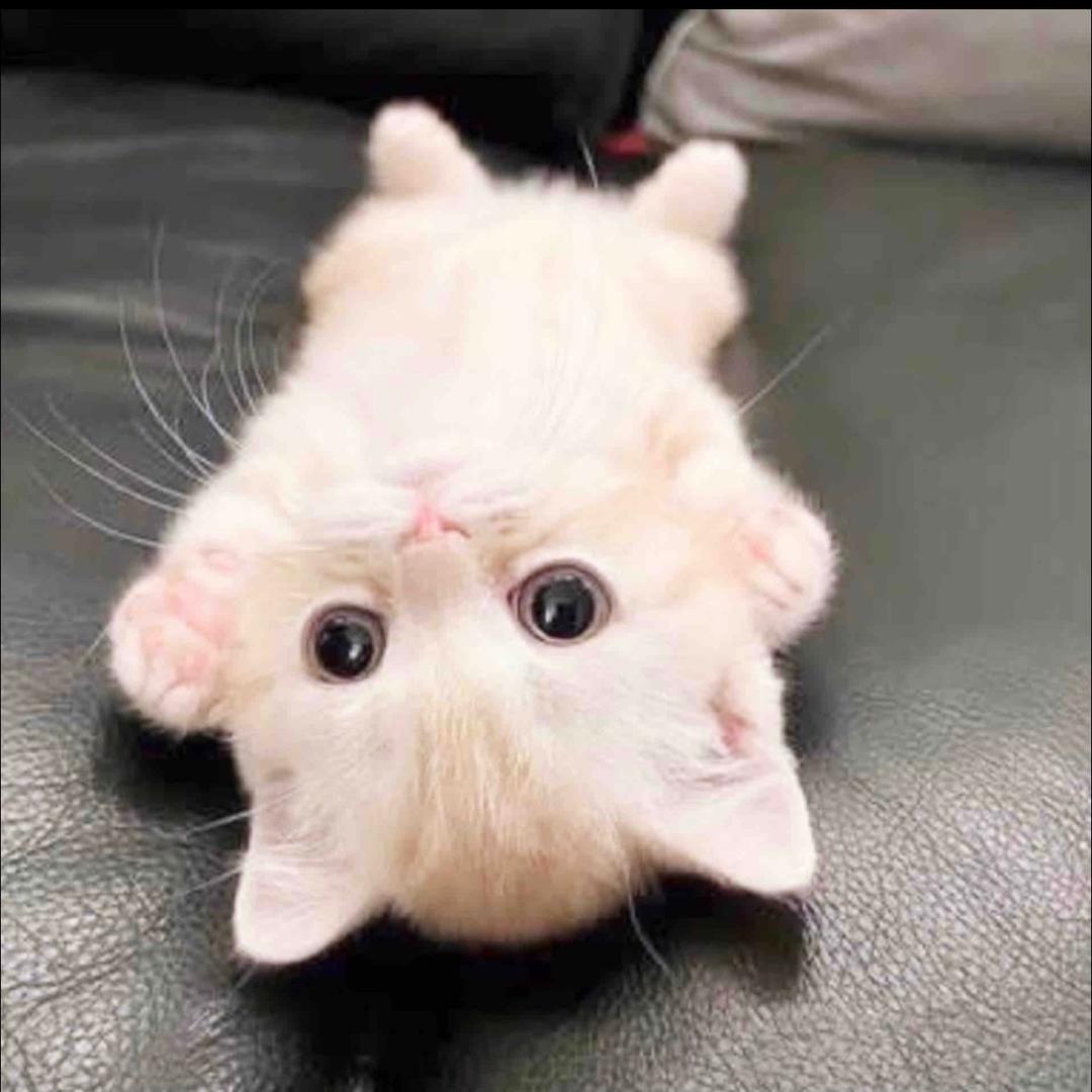9iuu ^