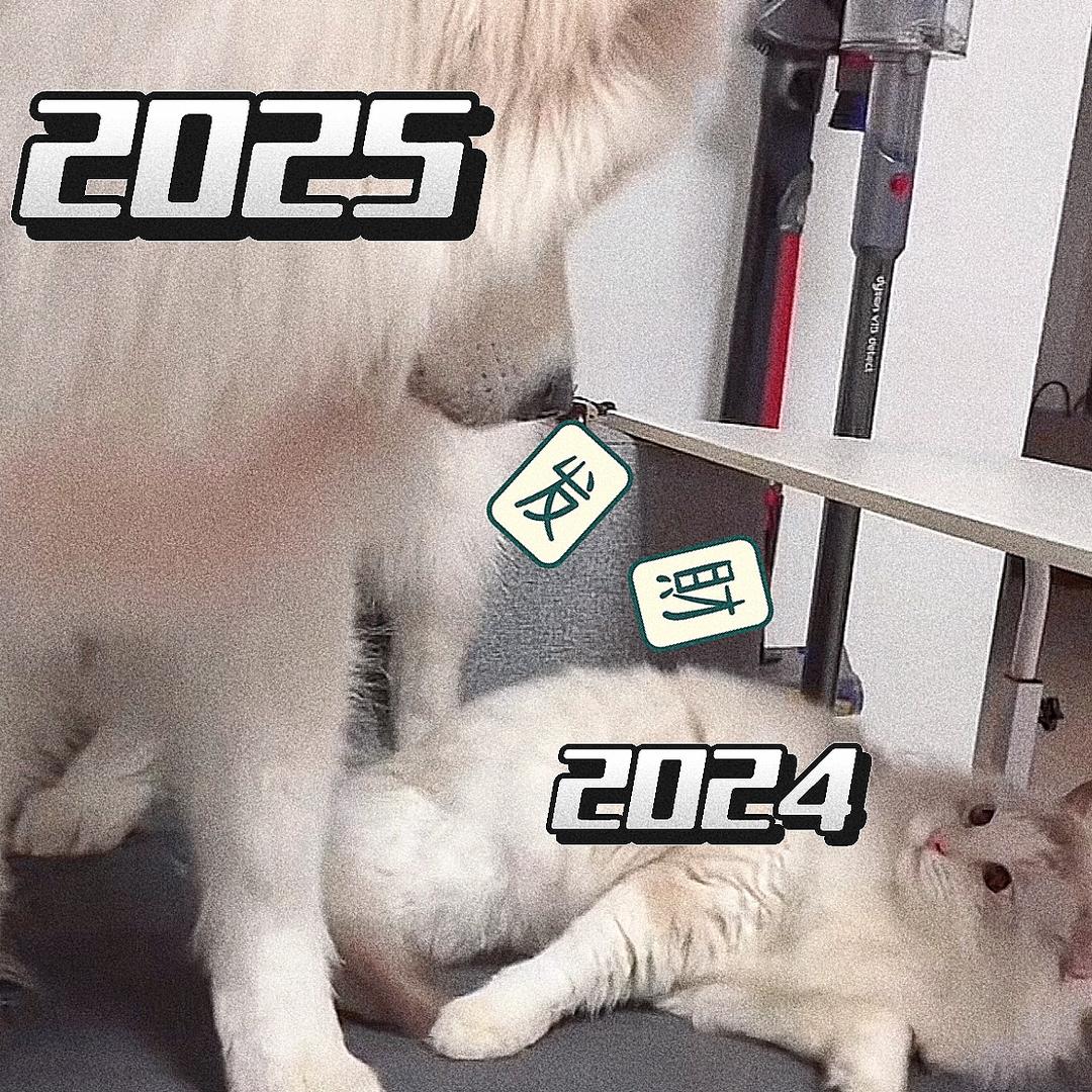 臭打游戏的小詹