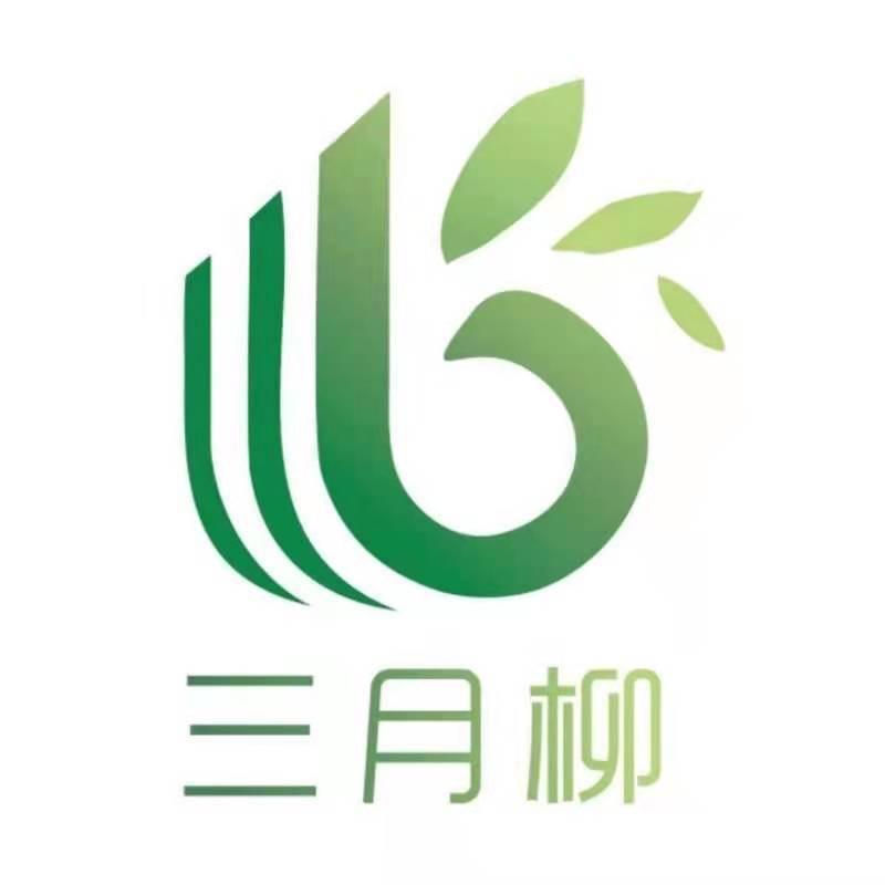 三月柳酒店-江门东站店