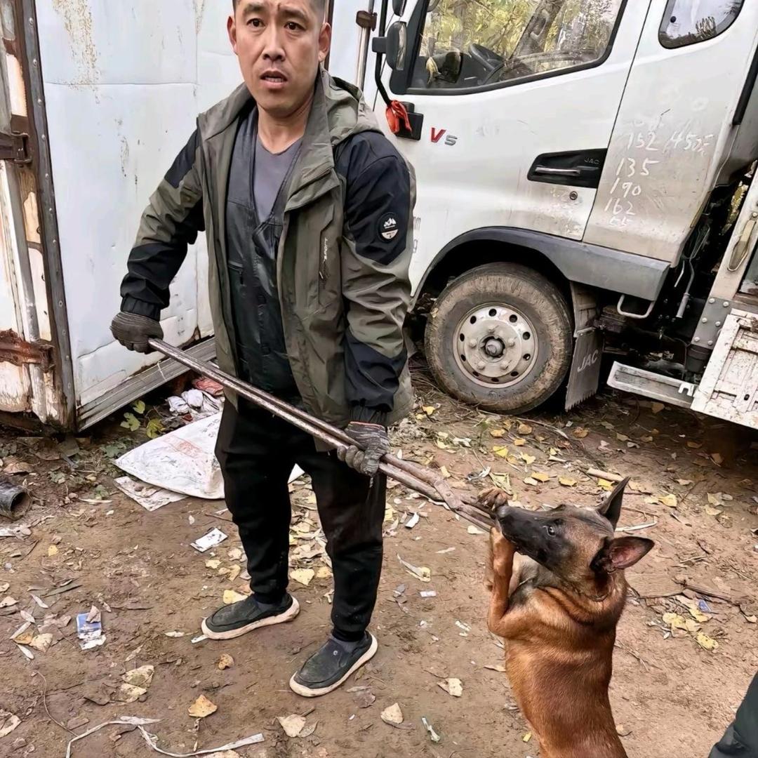 专业套狗（尤其舔狗）