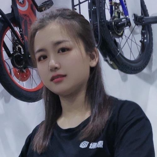 兴文绿源电动车🛵