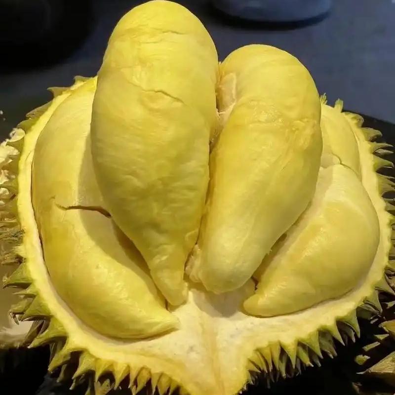 隆鑫水果小店高端水果