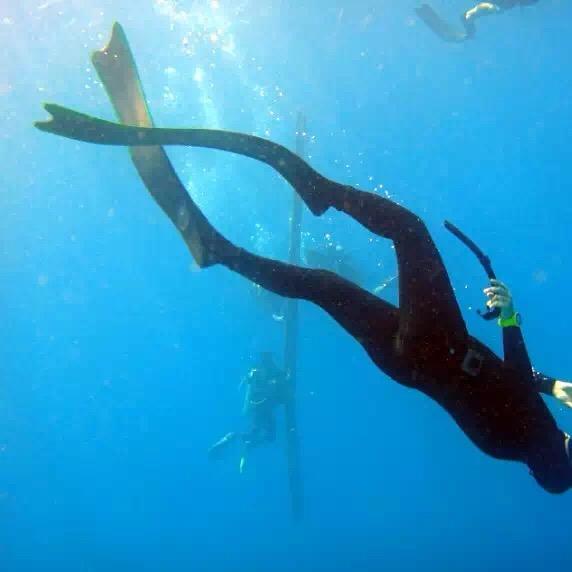 减肥中的章鱼哥🐙