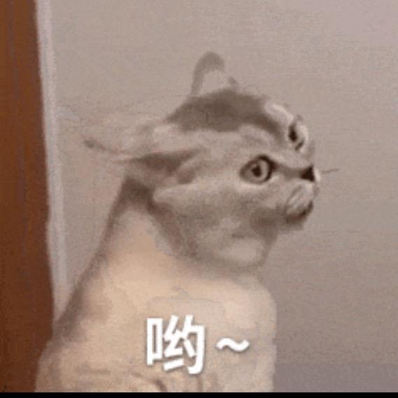昊浩变帅版