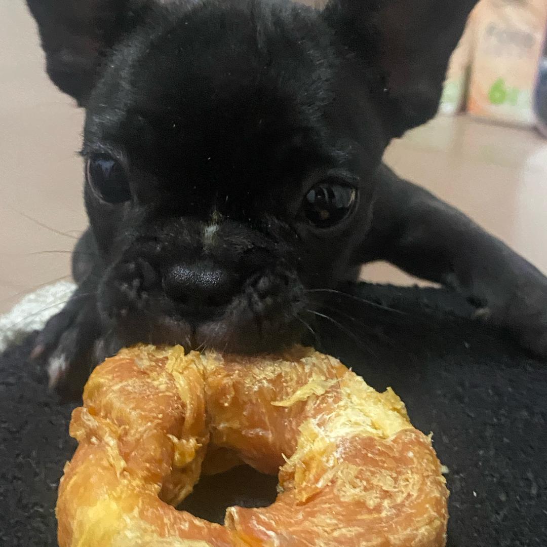 我是煤球