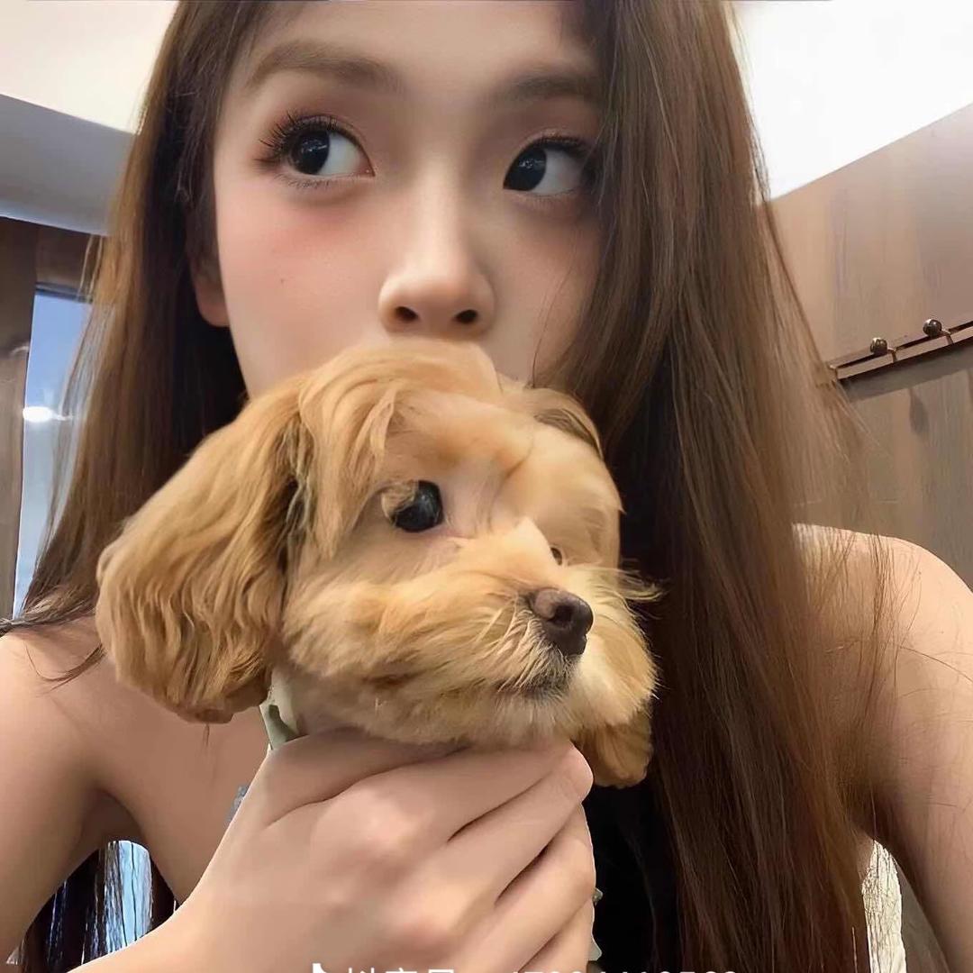 我恨早起 °ᯅ