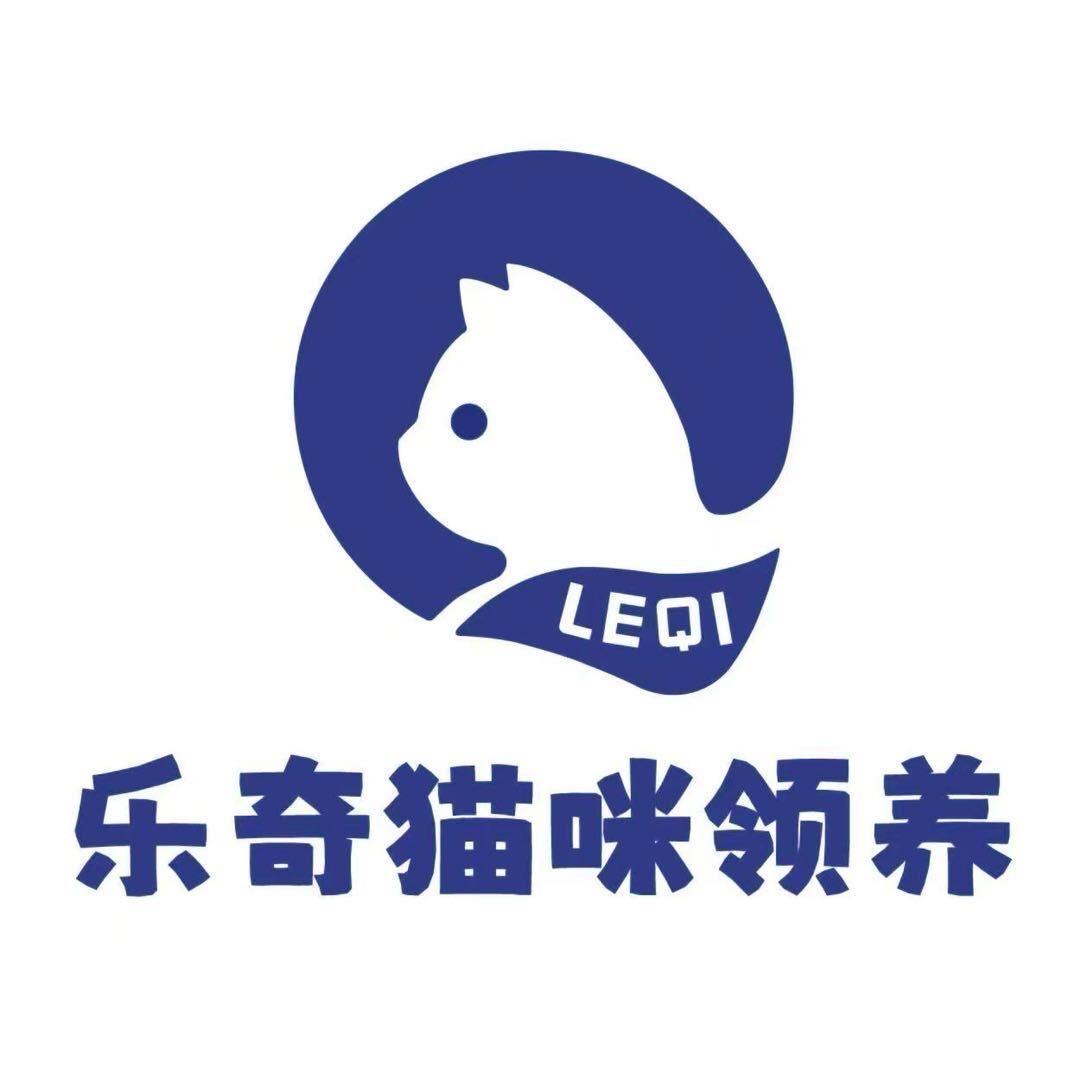 乐奇猫咪领养广州店