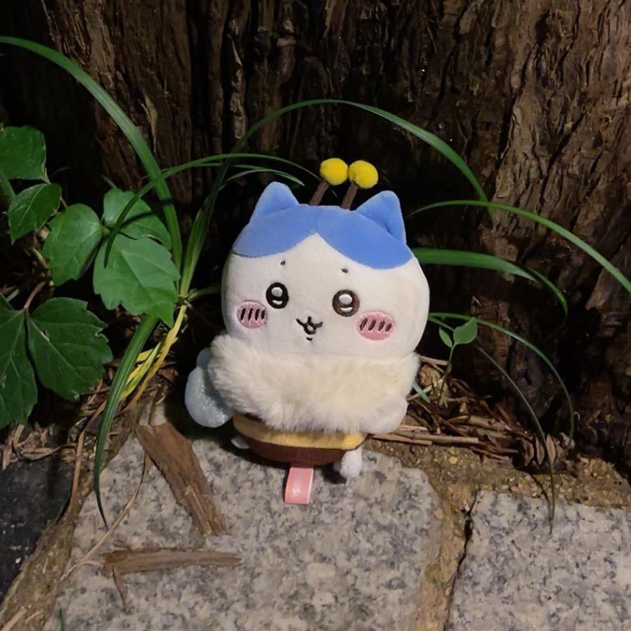 目标是把自己喂胖的阿君