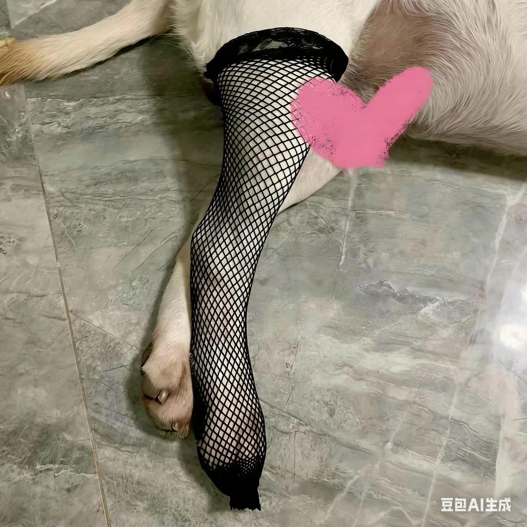 烧狗拆卡(新号版）