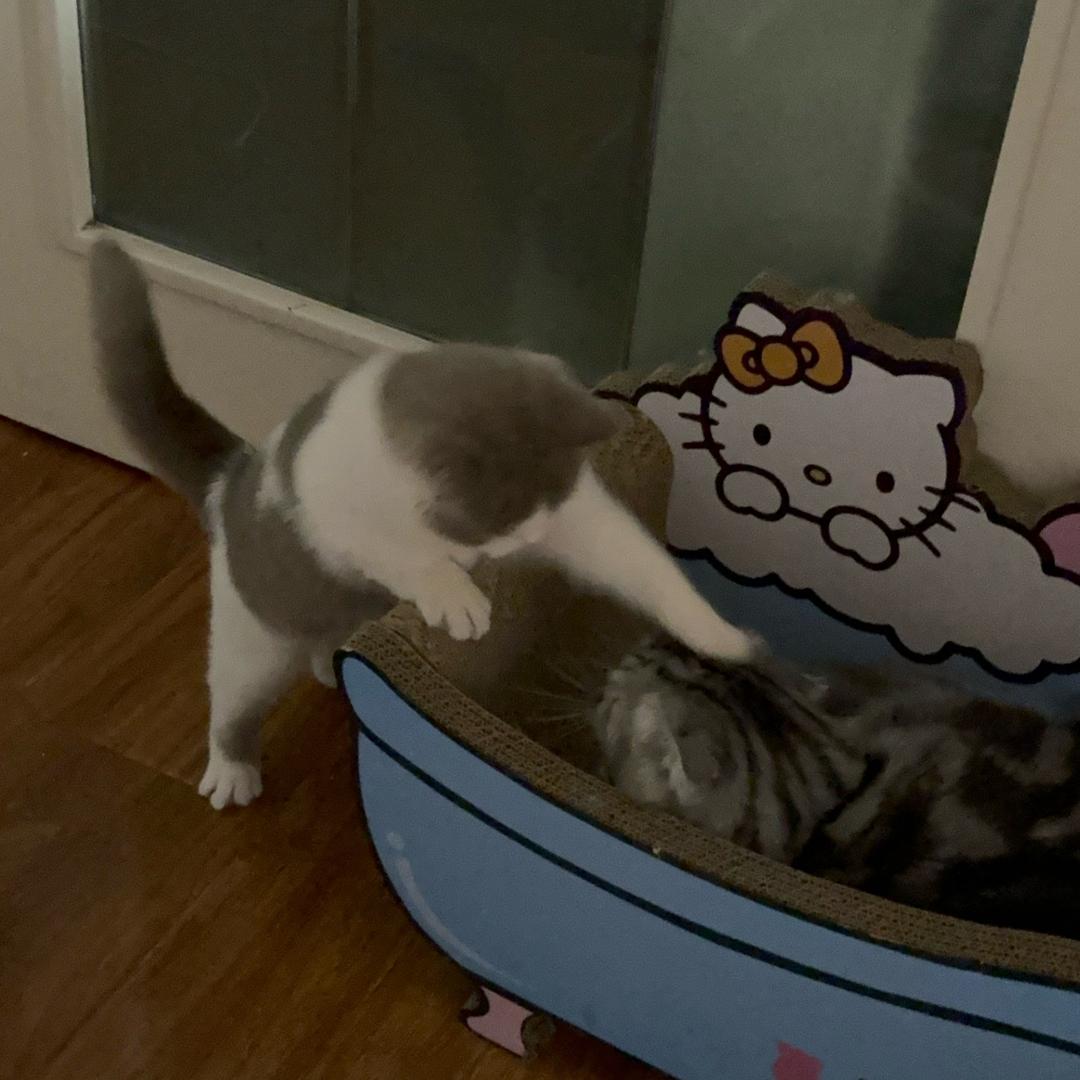 一天