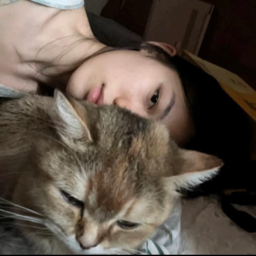 인형
