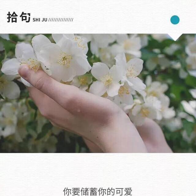叁文魚姐姐