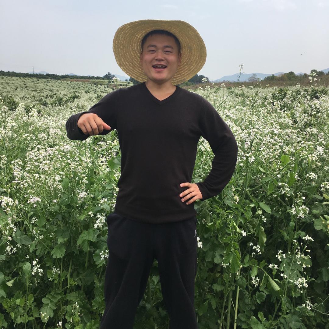 刘二真探