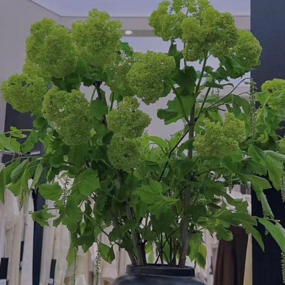 玲裳轻奢个性女装