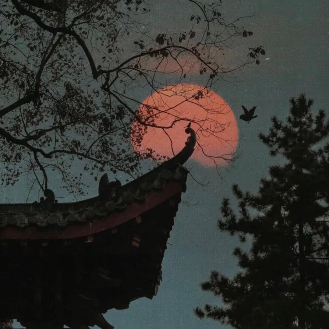 晨曦微露