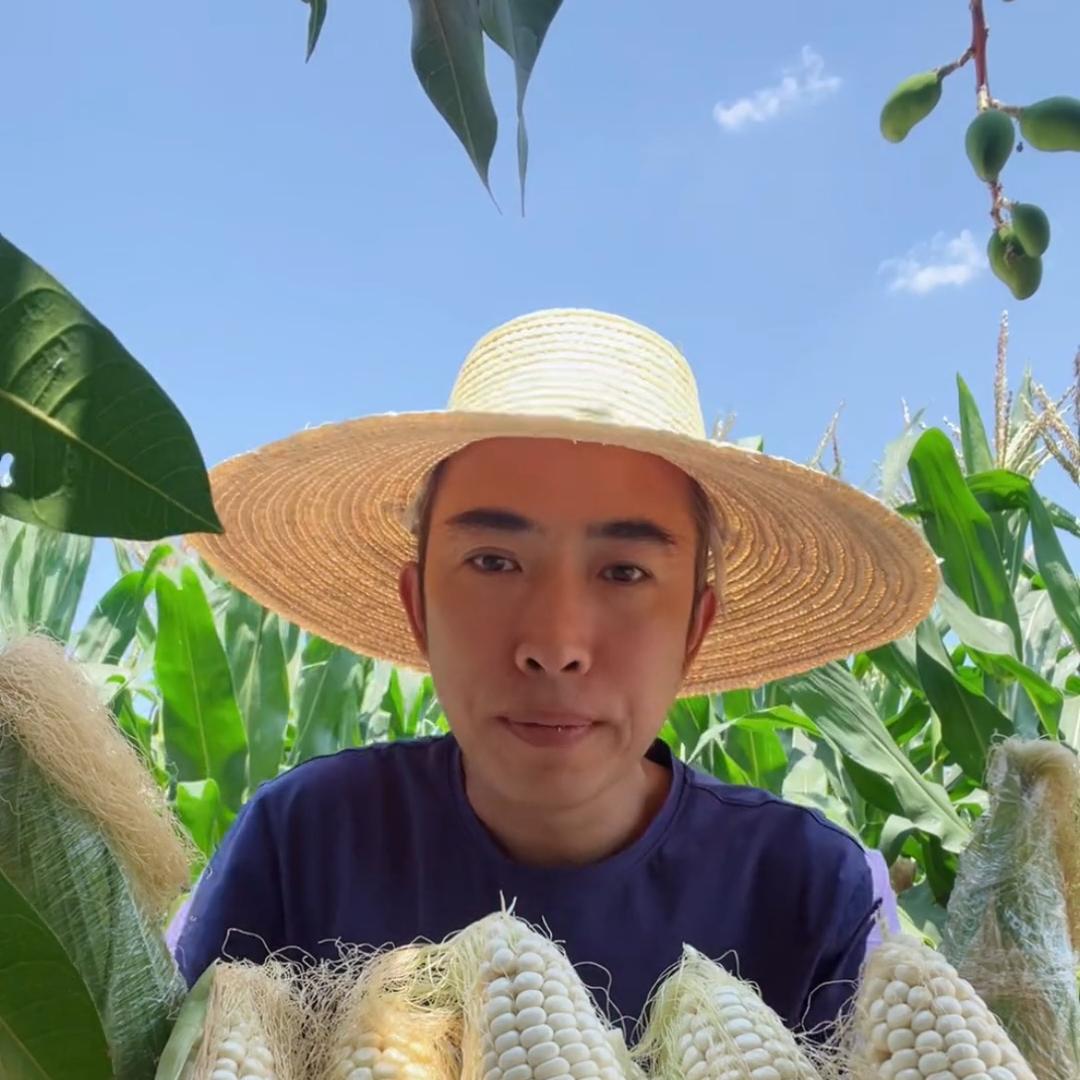 稻花农场