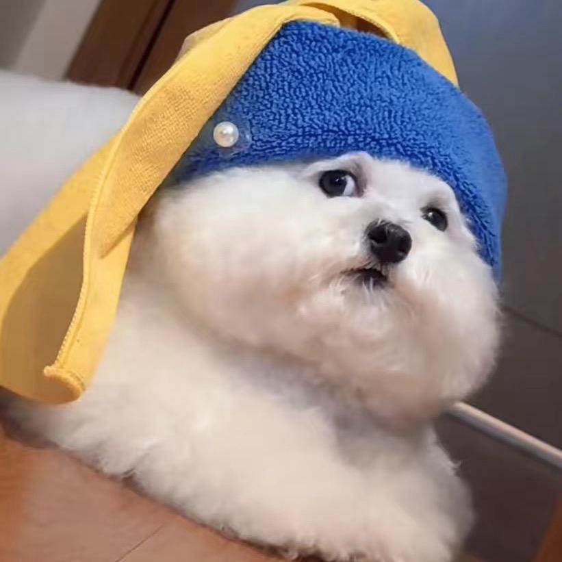 🍻💕皮卡邱🐬