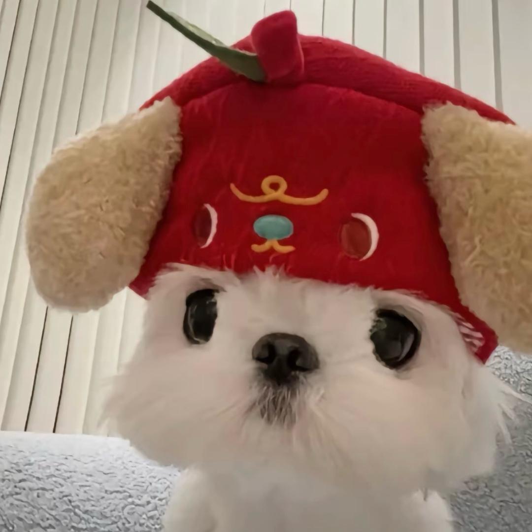 木木🌫️