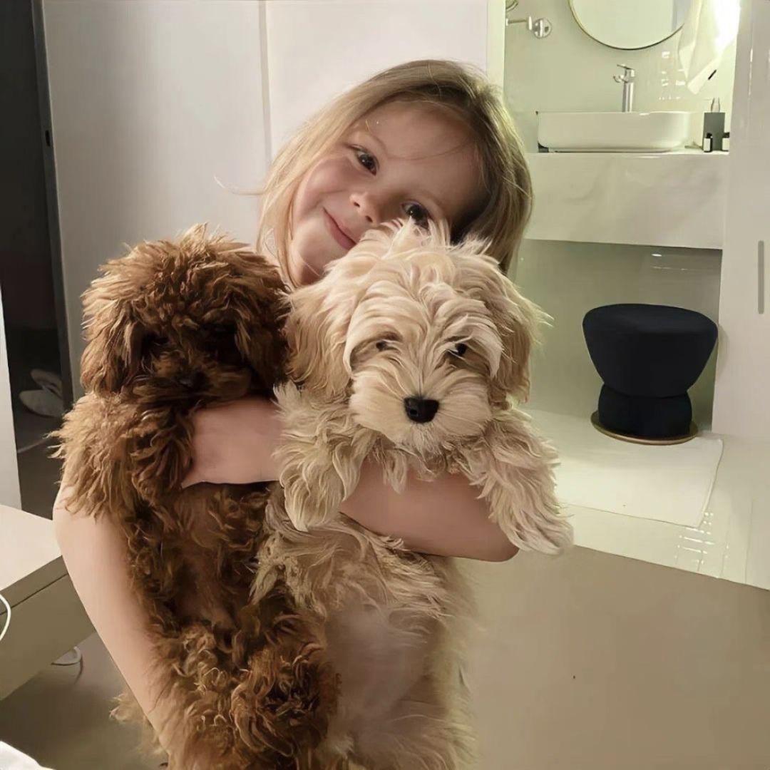 兔子小姐的礼物