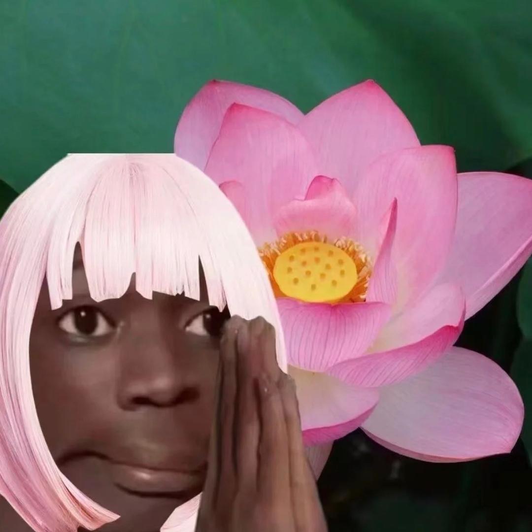 小毛驴
