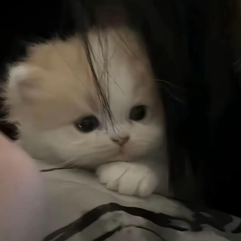 醒醒