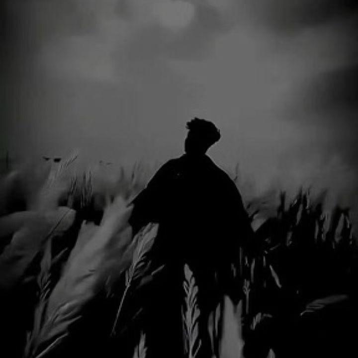 笑楠、