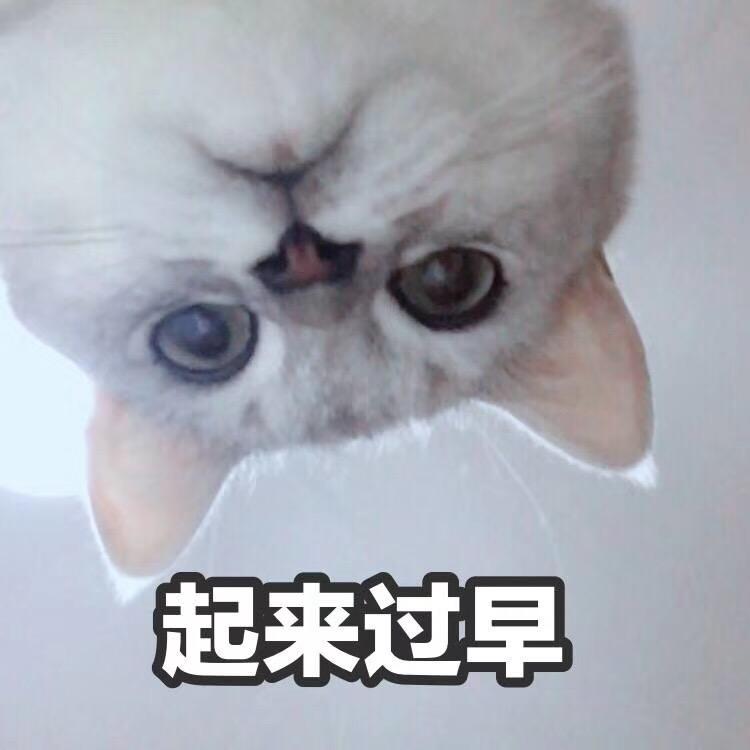 是开心果呀