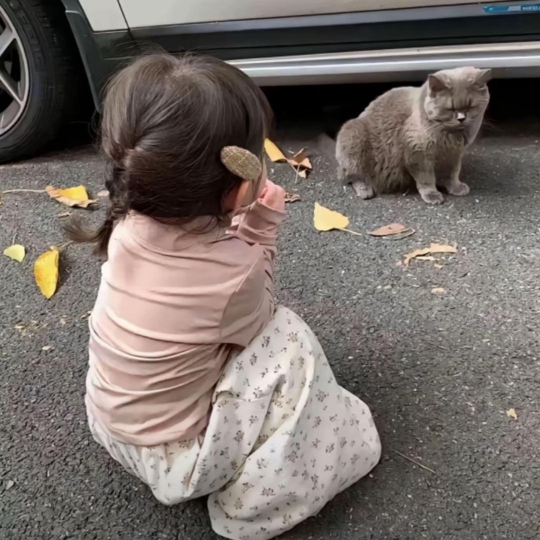 不懂、