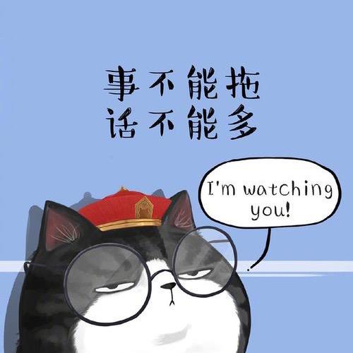 向日葵需要阳光