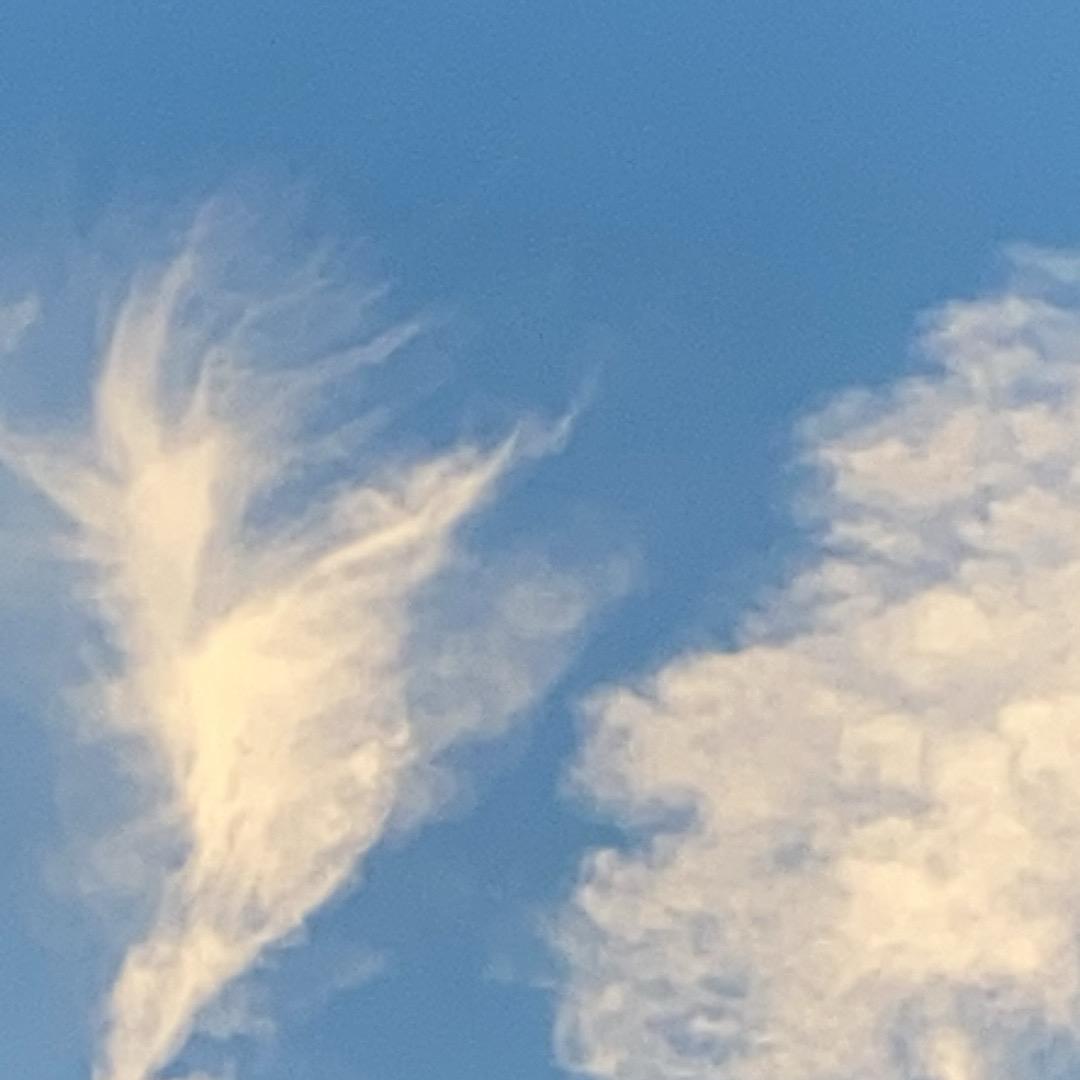 人间清醒