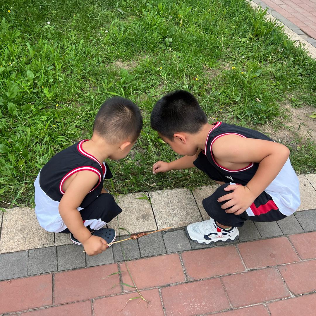 小一周和辰辰弟弟啊