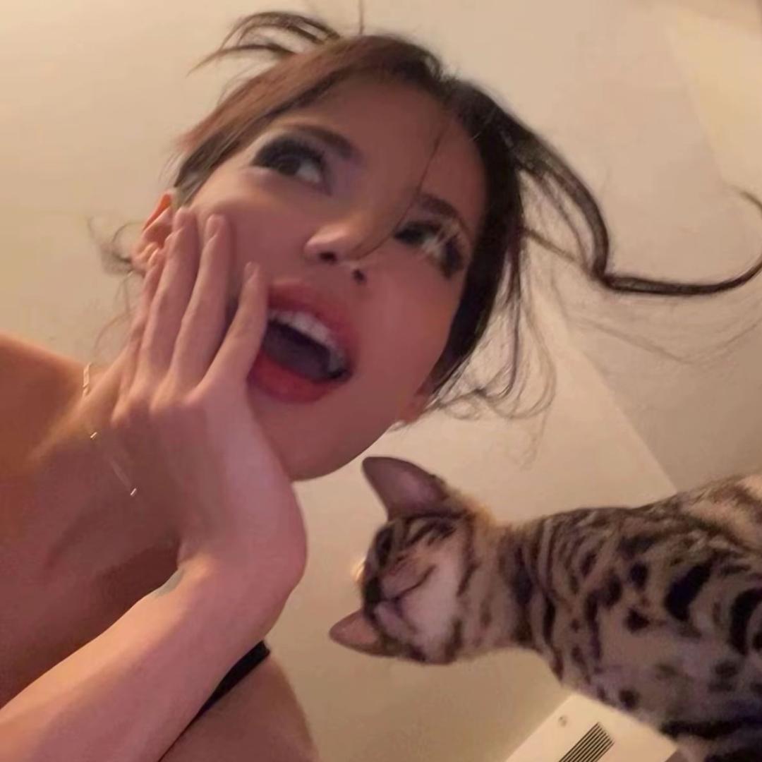 蛋挞.