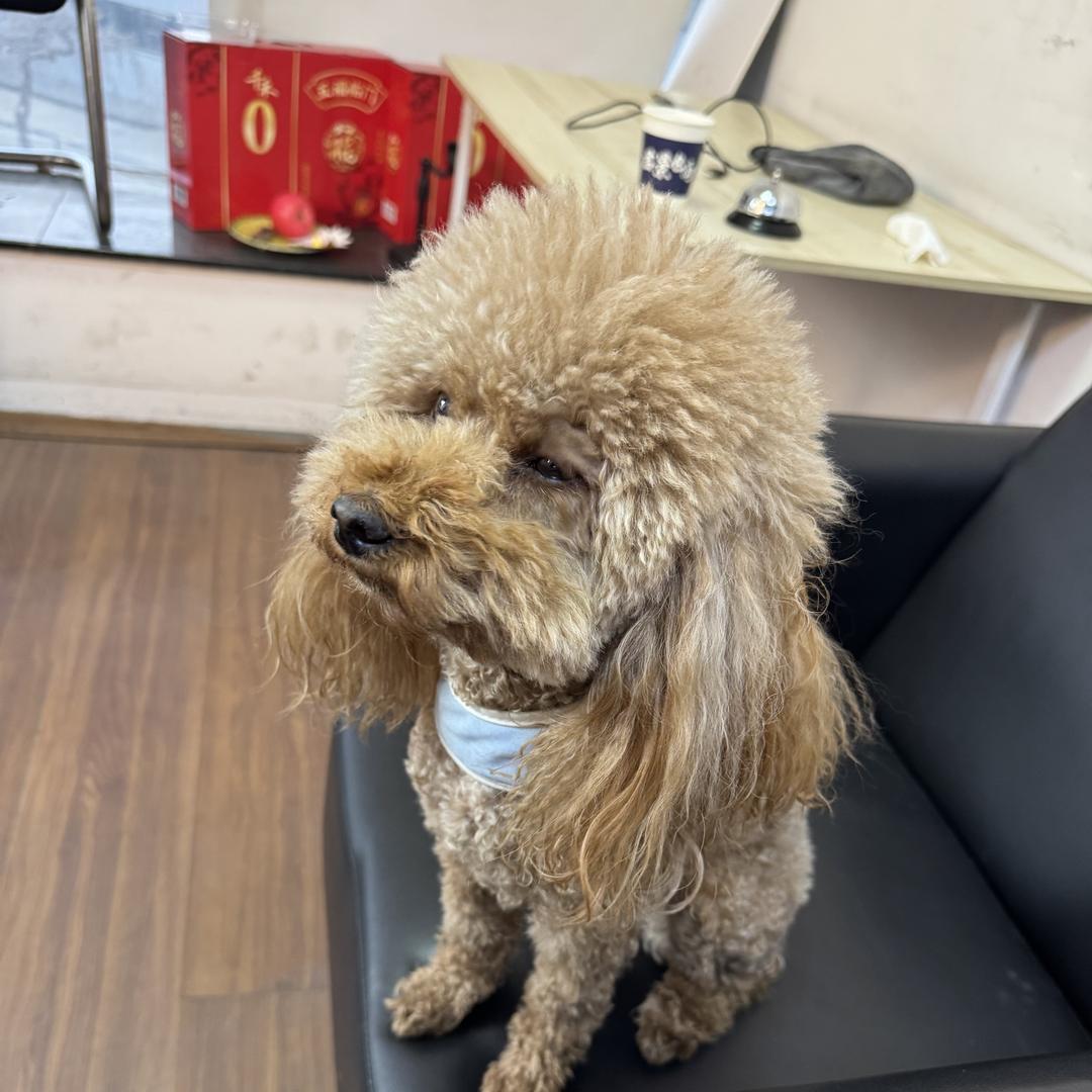 蝴蝶号嘉悦-君景