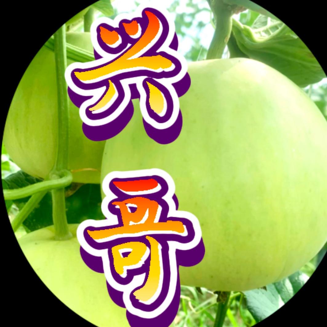 香瓜小王子——兴哥