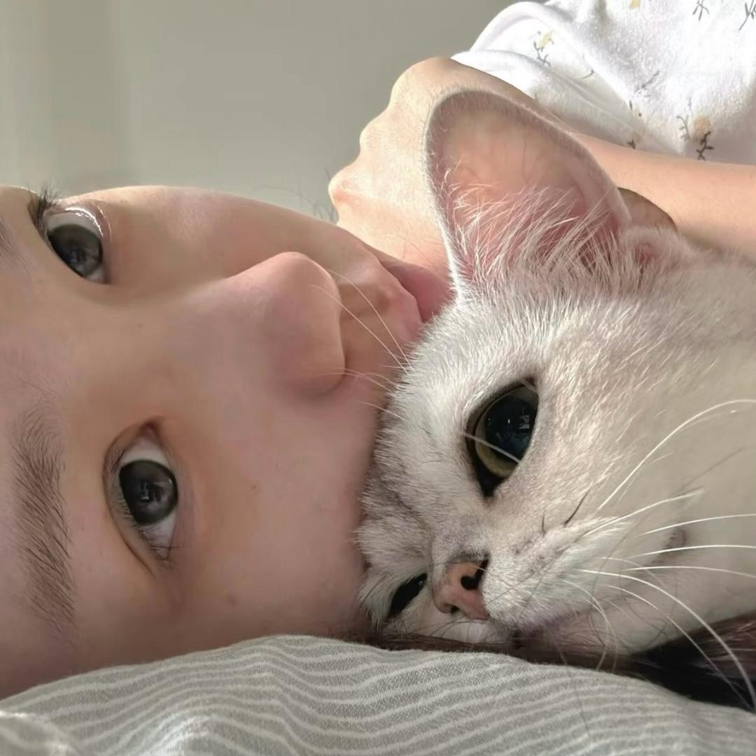 小田-