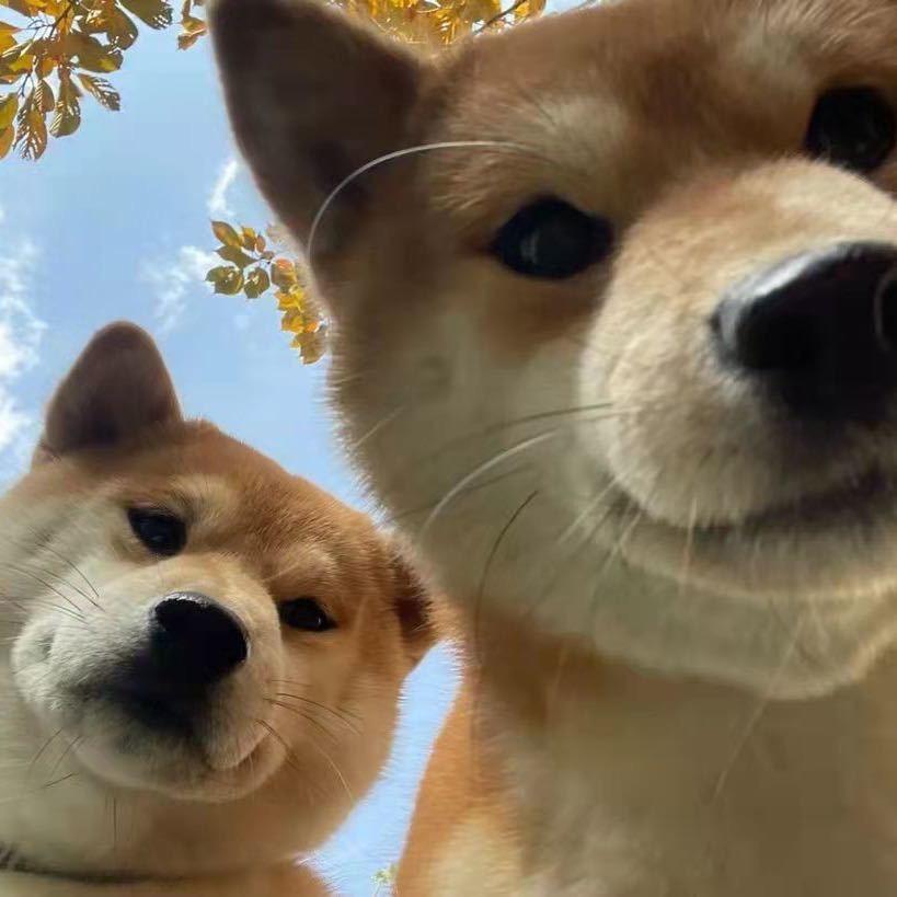 湖北省瞿彬聪百货有限公司