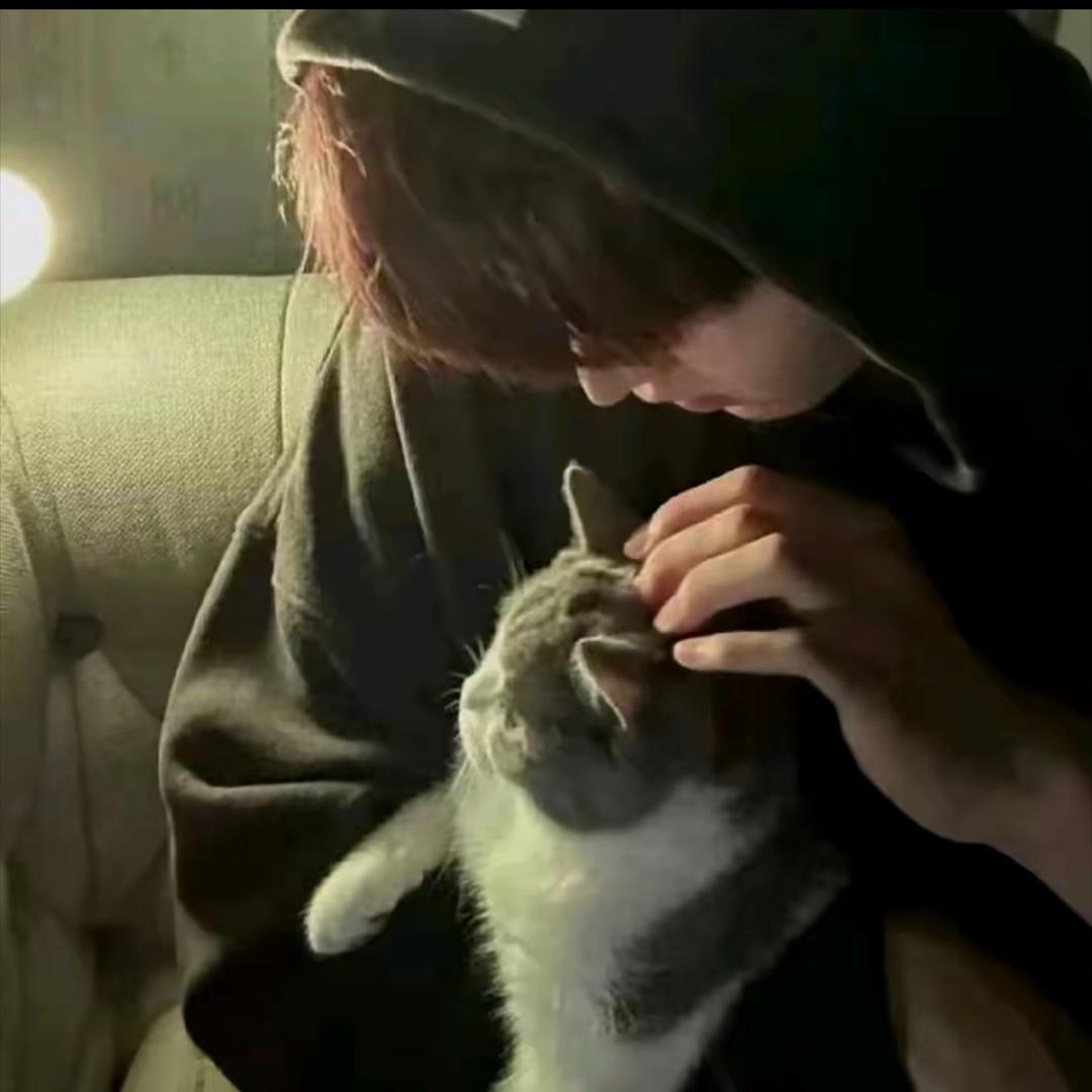 养只猫.
