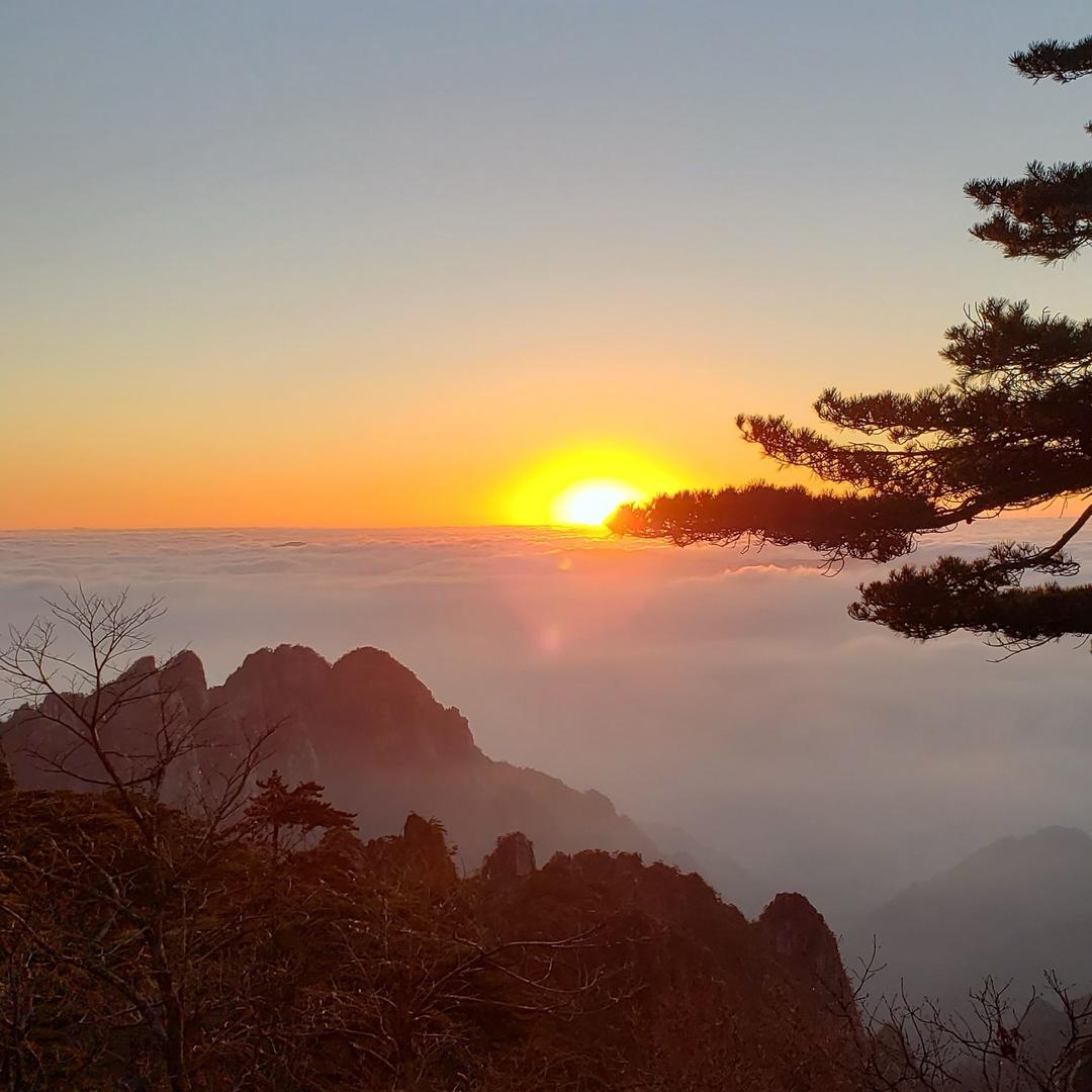 悲歌朗晴空