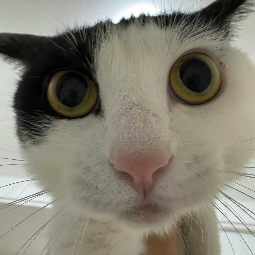 敢心