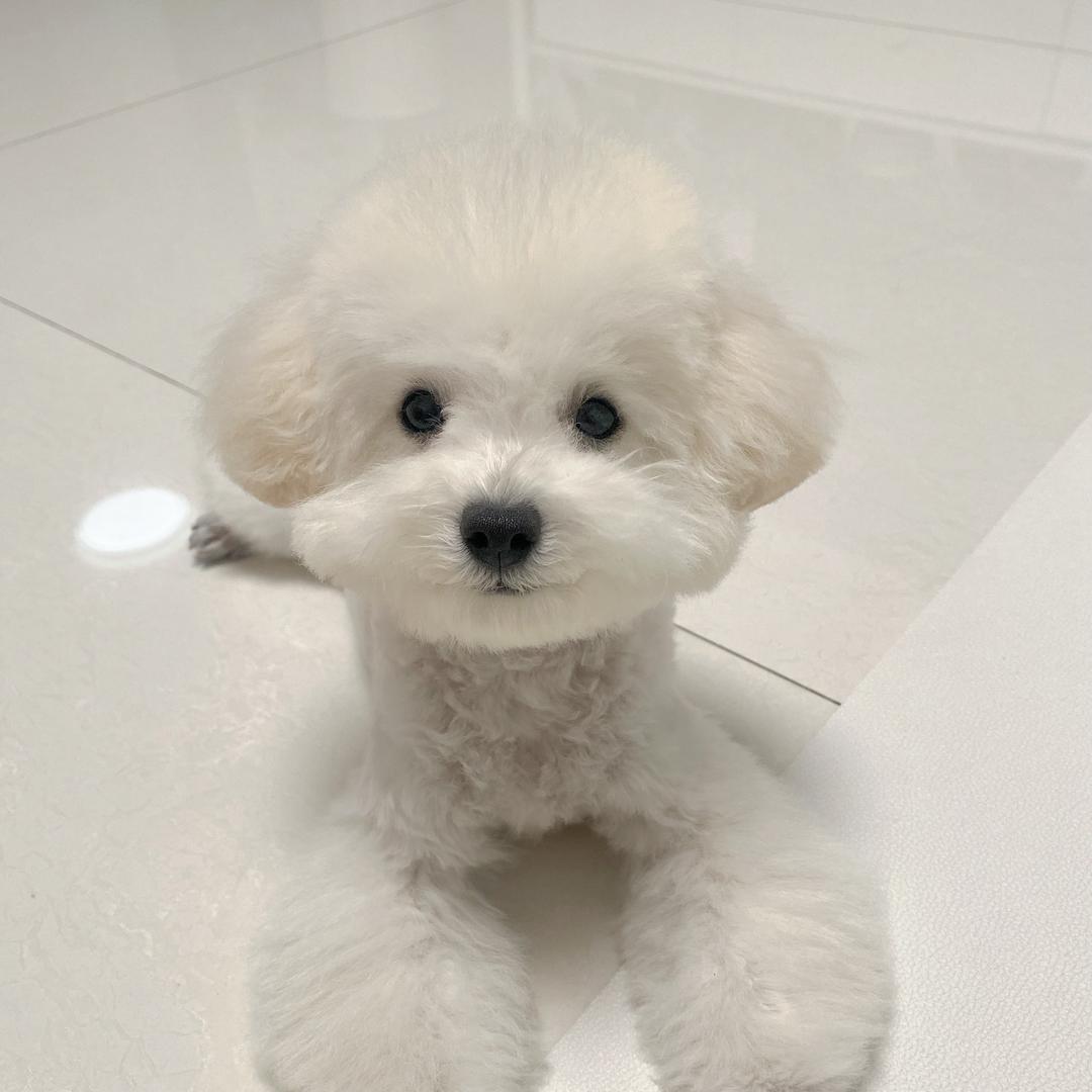 @巧樂咖