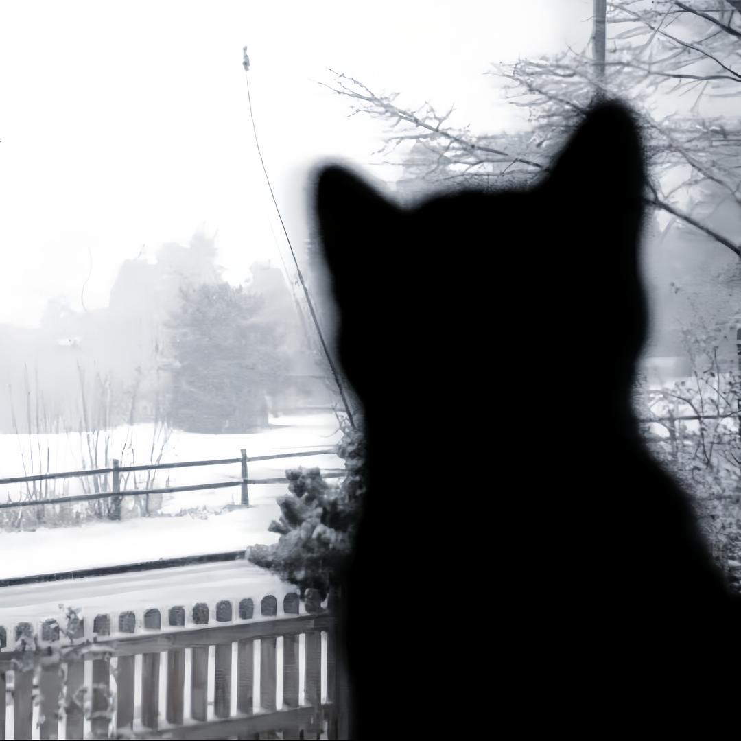 降雪纷纷