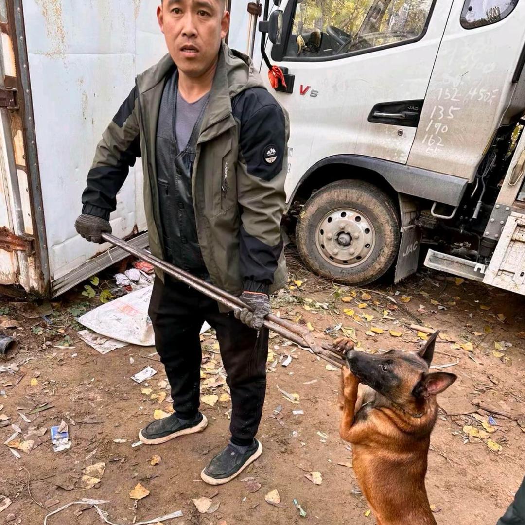 AA专业套狗徐师傅