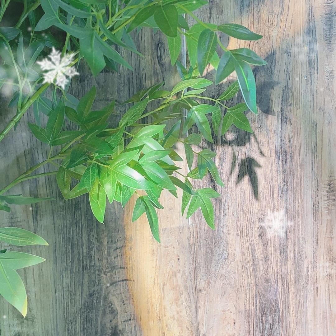 管理员