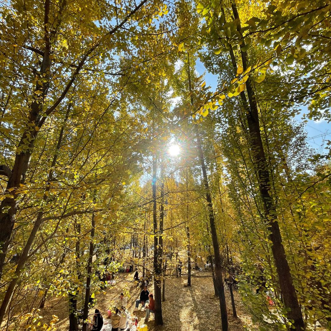 阳阳不会偷喝酒