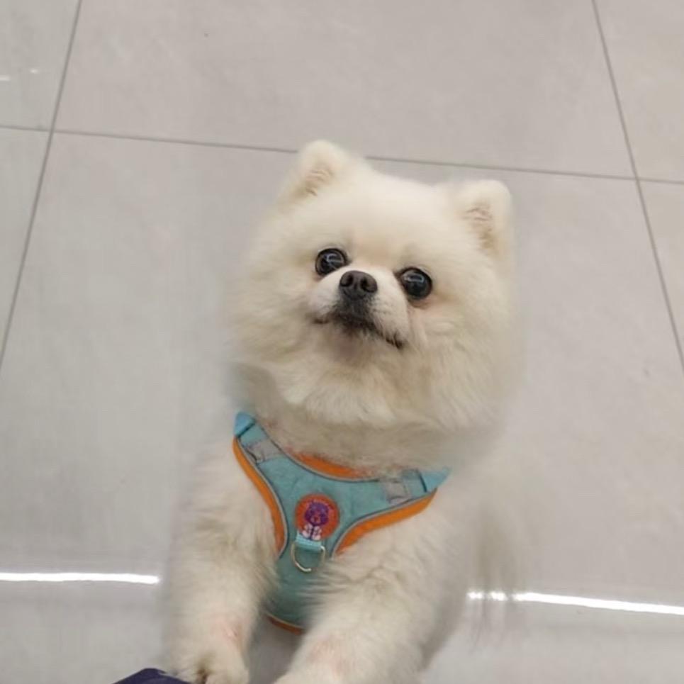 00o の,莘福.很简单