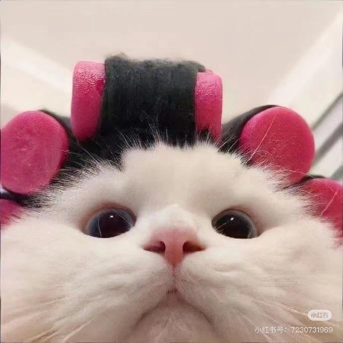 怎么吃不饱